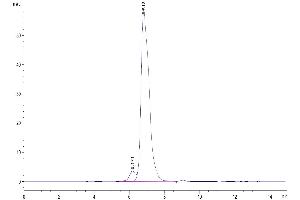 Size-exclusion chromatography-High Pressure Liquid Chromatography (SEC-HPLC) image for HLA Class I Histocompatibility Antigen, alpha Chain G (HLAG) (AA 25-305), (Tetramer) protein (Biotin,His-Avi Tag,Peptide (RIIPRHLQL)) (ABIN7274818)