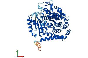 Protein Structure (PS) image for Tubulin, beta 8 (TUBB8) (AA 1-444) protein (His tag) (ABIN7544322)