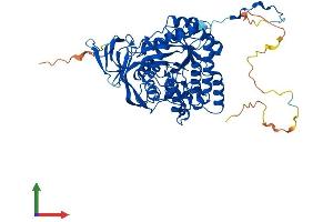 AlphaFold protein structure predicition of Human Recombinant DPYSL2 Protein, UniprotID Q16555