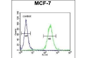 UPF2 Antibody (Center) (ABIN654649 and ABIN2844345) flow cytometric analysis of MCF-7 cells (right histogram) compared to a negative control cell (left histogram). (RENT2/UPF2 antibody  (AA 630-656))