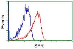 Flow cytometric Analysis of Hela cells, using anti-SPR antibody (ABIN2453680), (Red), compared to a nonspecific negative control antibody (TA50011), (Blue). (SPR antibody)