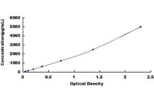 SEMA3C ELISA Kit