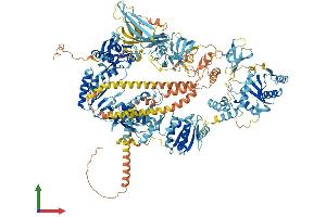 AlphaFold protein structure predicition of Human Recombinant ERVK-7 Protein, UniprotID P63135 (ERVK-7 Protein (AA 1-1459) (His tag))
