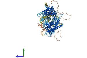 Protein Structure (PS) image for Adenylate Cyclase 3 (ADCY3) (AA 1-1144) protein (His tag) (ABIN7551926)