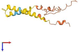 AlphaFold protein structure predicition of Mouse Recombinant Prr9 Protein, UniprotID Q8BV84 (PRR9 Protein (AA 1-116) (His tag))
