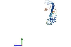 AlphaFold protein structure predicition of Mouse Recombinant Trim12a Protein, UniprotID Q99PQ1 (Trim12a Protein (AA 1-284) (His tag))