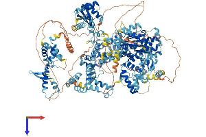 AlphaFold protein structure predicition of Human Recombinant SCAND3 Protein, UniprotID Q6R2W3 (SCAND3 Protein (AA 1-1325) (His tag))