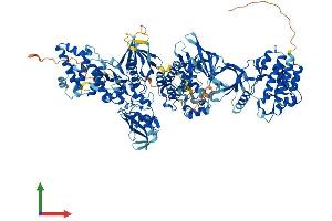 Protein Structure (PS) image for Janus Kinase 3 (JAK3) (AA 1-1124) protein (His tag) (ABIN7554227)