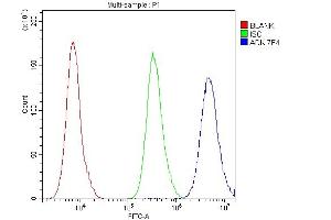 Flow Cytometry analysis of PC-3 cells using anti- ADK antibody (ABIN7600222). (ADK antibody  (AA 165-351))