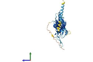 AlphaFold protein structure predicition of Human Recombinant KCNJ15 Protein, UniprotID Q99712 (KCNJ15 Protein (AA 1-375) (His tag))