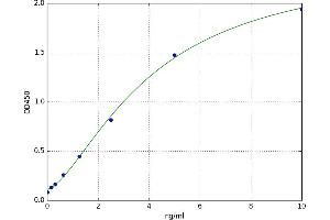 DNA (Cytosine-5)-Methyltransferase 1 (DNMT1) ELISA Kit