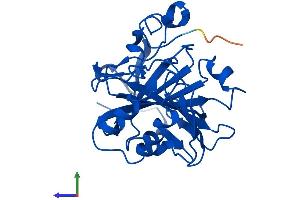 AlphaFold protein structure predicition of Mouse Recombinant Ca7 Protein, UniprotID Q9ERQ8