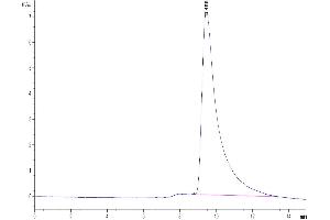 The purity of Mouse IL-2 is greater than 95 % as determined by SEC-HPLC. (IL-2 Protein (AA 21-169) (His-Avi Tag))