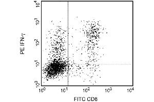 Expression of IFN-gamma by stimulated CD8+ and CD8-BALB/c spleen cells. (Interferon gamma antibody)