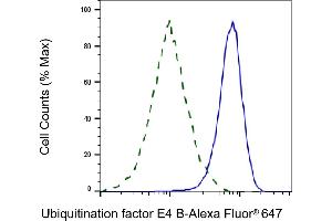 Validation of Ubiquitination factor E4 B knockdown using flow cytometry. (Recombinant UBE4B antibody)