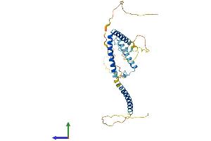 AlphaFold protein structure predicition of Mouse Recombinant Hexim2 Protein, UniprotID Q3TVI4 (HEXIM2 Protein (AA 1-313) (His tag))