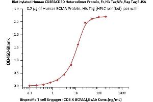 Immobilized Human BCMA Protein, His Tag (Hied) (Cat. (CD3D & CD3E (AA 23-126) (Active) protein (His tag,Fc Tag,DYKDDDDK Tag,Biotin))