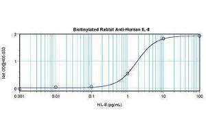 Image no. 1 for anti-Interleukin 8 (IL8) antibody (Biotin) (ABIN465818) (IL-8 antibody  (Biotin))