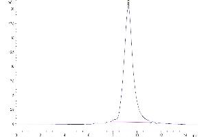 Size-exclusion chromatography-High Pressure Liquid Chromatography (SEC-HPLC) image for Butyrophilin, Subfamily 3, Member A2 (BTN3A2) (AA 30-248) protein (His-Avi Tag) (ABIN7273980)