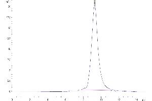 The purity of Human BTN3A2 is greater than 95 % as determined by SEC-HPLC. (BTN3A2 Protein (AA 30-248) (His-Avi Tag))