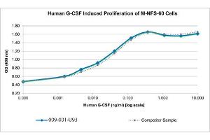 SDS-PAGE of Human Granulocyte Colony Stimulating Factor Recombinant Protein Bioactivity of Human Granulocyte Colony Stimulating Factor Recombinant Protein. (G-CSF Protein)