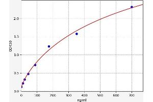 Typical standard curve (CFHR1 ELISA Kit)