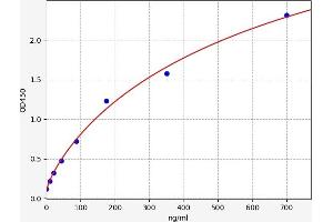 CFHR1 ELISA Kit