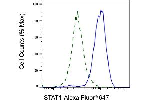 Validation of STAT1 knockdown using flow cytometry. (Recombinant STAT1 antibody)
