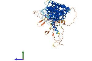 AlphaFold protein structure predicition of Mouse Recombinant Rrn3 Protein, UniprotID B2RS91 (RRN3 Protein (AA 1-656) (His tag))