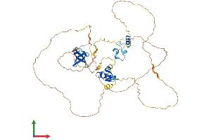 AlphaFold protein structure predicition of Human Recombinant ZNF395 Protein, UniprotID Q9H8N7 (ZNF395 Protein (AA 1-513) (His tag))