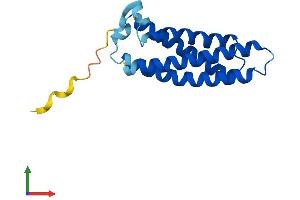 AlphaFold protein structure predicition of Human Recombinant MALL Protein, UniprotID Q13021 (Mal, T-Cell Differentiation Protein-Like (Mall) (AA 1-153) protein (His tag))