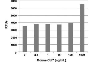 Human THP-1 cells were allowed to migrate to mouse Ccl3 at (0, 0.