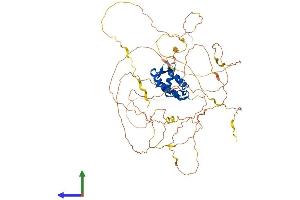 AlphaFold protein structure predicition of Human Recombinant FOXN1 Protein, UniprotID O15353 (FOXN1 Protein (AA 1-648) (His tag))