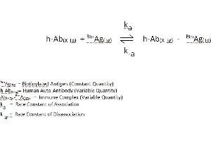 Helicobacter Pylori IgA (Hp IgA) CLIA Kit