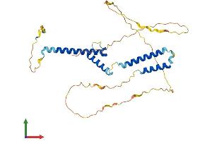 Protein Structure (PS) image for Hairy/enhancer-of-Split Related with YRPW Motif-Like (HEYL) (AA 1-326) protein (His tag) (ABIN7561308)