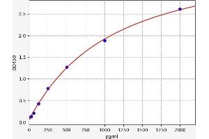 NFATC1 ELISA Kit