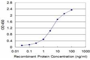 Detection limit for recombinant GST tagged FXN is approximately 0. (Frataxin antibody  (AA 91-200))