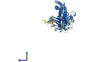 AlphaFold protein structure predicition of Human Recombinant IKBKE Protein, UniprotID Q14164 (IKKi/IKKe Protein (AA 1-716) (His tag))