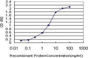 Detection limit for recombinant GST tagged pp9099 is approximately 0. (PLEKHO2 antibody  (AA 392-490))