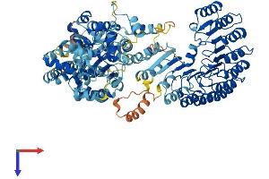 AlphaFold protein structure predicition of Mouse Recombinant Nlrp9a Protein, UniprotID Q66X03 (Nlrp9a Protein (AA 1-949) (His tag))