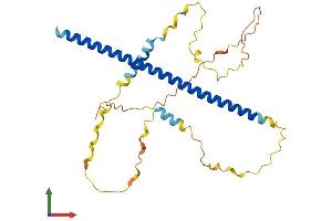 AlphaFold protein structure predicition of Mouse Recombinant Atf5 Protein, UniprotID O70191 (ATF5 Protein (AA 1-283) (His tag))