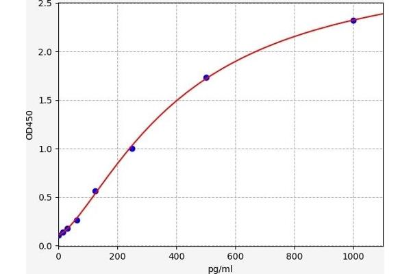 Amylin/DAP ELISA Kit