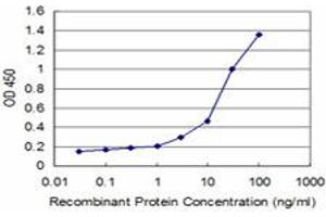 Detection limit for recombinant GST tagged HD is approximately 0. (Huntingtin antibody  (AA 81-190))