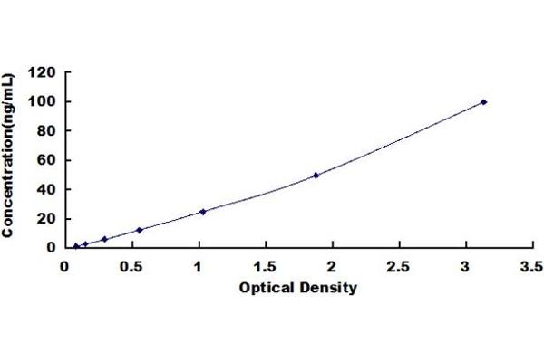 COMP ELISA Kit