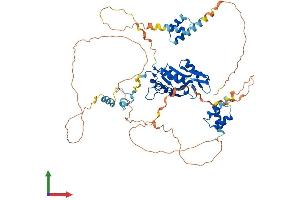 AlphaFold protein structure predicition of Human Recombinant ZC3H12A Protein, UniprotID Q5D1E8 (ZC3H12A Protein (AA 1-599) (His tag))