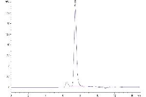 Size-exclusion chromatography-High Pressure Liquid Chromatography (SEC-HPLC) image for Met Proto-Oncogene (MET) (AA 25-932) protein (His-Avi Tag) (ABIN7275248)