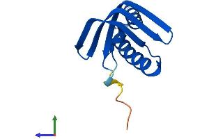 AlphaFold protein structure predicition of Mouse Recombinant Gtf2a2 Protein, UniprotID Q80ZM7