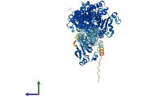 AlphaFold protein structure predicition of Mouse Recombinant Atp1a3 Protein, UniprotID Q6PIC6 (ATP1A3 Protein (AA 1-1013) (His tag))
