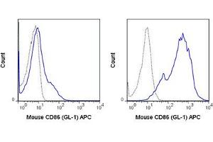 Flow Cytometry of anti-CD86 APC - 200-526-N90 Flow Cytometry of anti-CD86 Allophycocyanin Conjugated Monoclonal Antibody. (CD86 antibody  (APC))