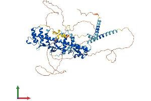 AlphaFold protein structure predicition of Human Recombinant GGNBP2 Protein, UniprotID Q9H3C7 (GGNBP2 Protein (AA 1-697) (His tag))